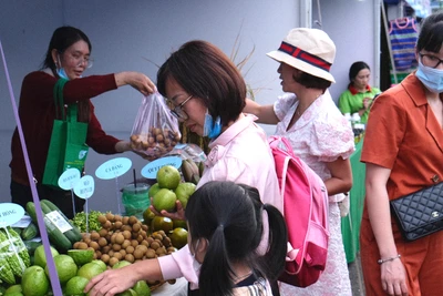 Gia Lai: Giới thiệu mô hình phát triển sinh kế hòa nhập cộng đồng cho phụ nữ là nạn nhân mua bán người