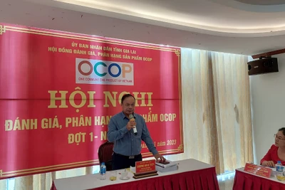 Đánh giá phân hạng sản phẩm OCOP