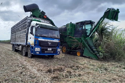 Công ty cổ phần Nông nghiệp AgriS Gia Lai: Đảm bảo hài hòa lợi ích giữa Doanh nghiệp và nông dân