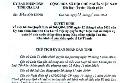  Gia Lai bãi bỏ quyết định hành chính quản lý nhà nước về lao động trong khu kinh tế, khu công nghiệp