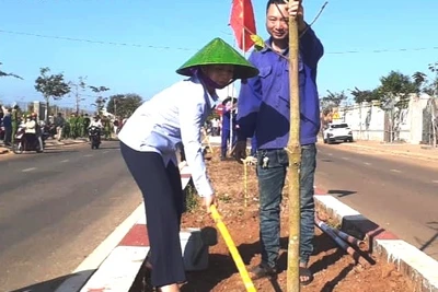 Chư Sê phát động Tết trồng cây “Đời đời nhớ ơn Bác Hồ”