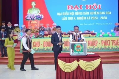 Ông Y Djit tái cử Chủ tịch Hội Nông dân huyện Đak Đoa nhiệm kỳ 2023-2028 