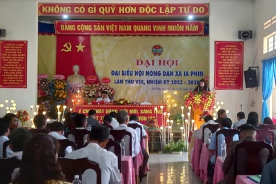 Gia Lai: Khuyến khích các cấp Hội Nông dân có công trình, phần việc chào mừng Đại hội 