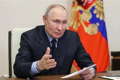 Tổng thống Putin sẵn sàng đóng băng chiến tranh