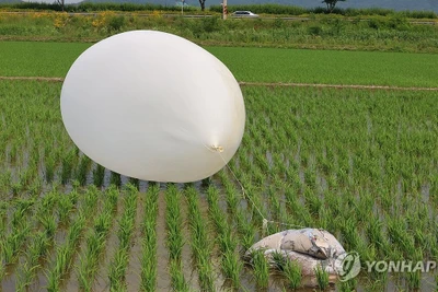 Thêm hàng trăm quả bóng bay chở rác của Triều Tiên "hạ cánh" xuống Hàn Quốc 