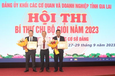 Gia Lai: Thí sinh Phạm Đình Thủy và Nguyễn Văn Linh đạt giải nhất Hội thi Bí thư Chi bộ giỏi