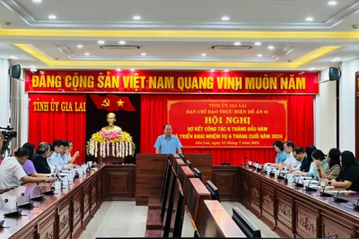 Gia Lai: Hơn 115.700 hộ nông dân đăng ký sản xuất-kinh doanh giỏi