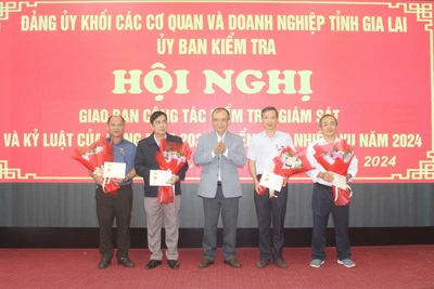 Ủy ban Kiểm tra Đảng ủy Khối các Cơ quan và Doanh nghiệp tỉnh Gia Lai giao ban công tác kiểm tra, giám sát và kỷ luật của Đảng