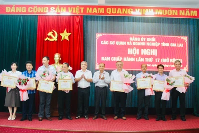 Đảng ủy Khối các Cơ quan và Doanh nghiệp tỉnh Gia Lai triển khai nhiệm vụ công tác quý II