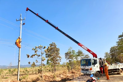 Công ty Điện lực Gia Lai nỗ lực hoàn thiện lưới điện phục vụ nhu cầu sử dụng điện của người dân trên địa bàn tỉnh. Ảnh H.D