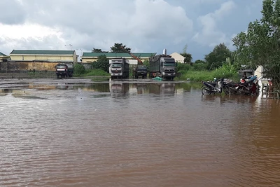 Tuyến đường Lý Nam Đế (TP. Pleiku) ngập trong nước sau một trận mưa. Ảnh Hà Duy