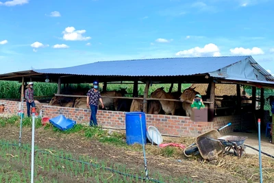 Đak Đoa triển khai khử trùng, tiêu độc môi trường để phòng bệnh cho gia súc, gia cầm. Ảnh Hà Duy