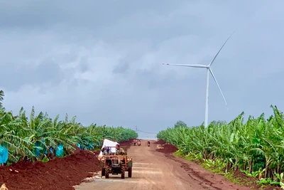 Huyện Đak Đoa sẽ xử lý nghiêm người đứng đầu các địa phương buông lỏng quản lý đất đai. Ảnh Hà Duy