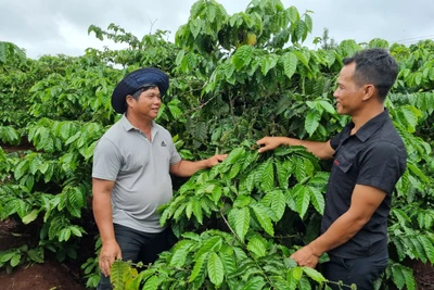 Khởi sắc nông thôn mới ở thôn Bối