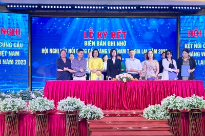 Kết nối cung cầu hàng Việt Nam tại Gia Lai năm 2023