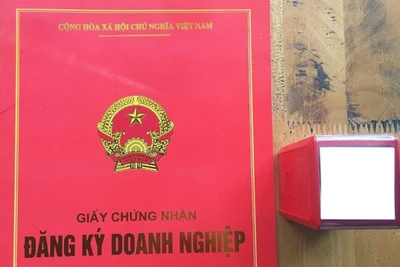 Thu hồi giấy chứng nhận đăng ký doanh nghiệp của 6 doanh nghiệp ở Gia Lai