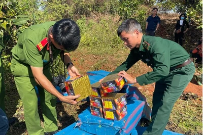 Phát hiện 183 vụ mua bán, tàng trữ, vận chuyển pháo nổ trái phép