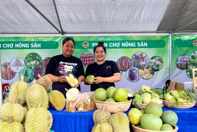 Gia Lai: Công bố các thủ tục hành chính mới và sửa đổi, bổ sung trong lĩnh vực thương mại