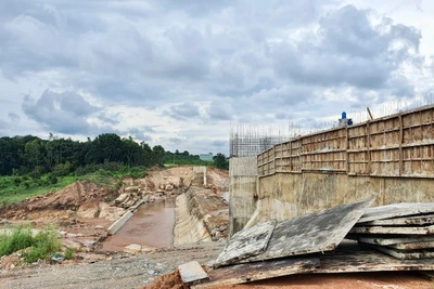 Chủ động triển khai các biện pháp phòng chống, ứng phó với ảnh hưởng của mưa, lũ 