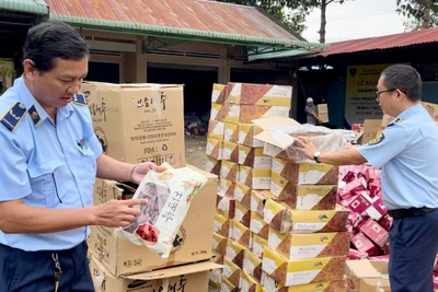 Cảnh báo mối nguy từ thực phẩm không rõ nguồn gốc