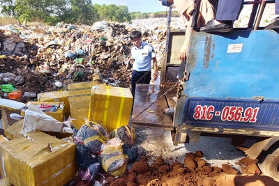 Gia Lai tăng cường kiểm tra, kiểm soát thực phẩm dịp Tết