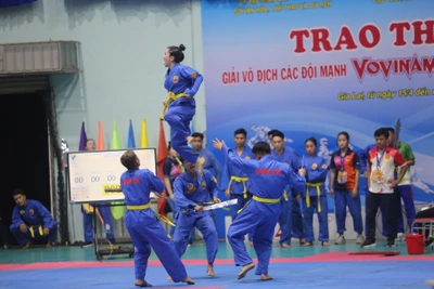 Hơn 400 võ sĩ so tài ở Giải Vô địch các đội mạnh Vovinam toàn quốc