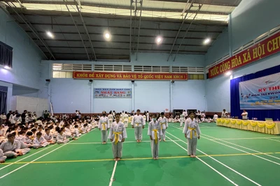 Pleiku: Hơn 460 võ sinh Taekwondo tham gia kỳ thi thăng cấp