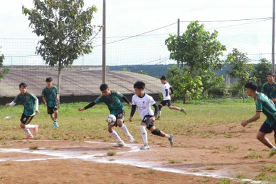 Gia Lai: 46 đội bóng tranh Cúp vô địch Giải Bóng đá học sinh-sinh viên