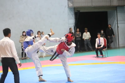 Hơn 260 võ sĩ so tài ở Giải Vô địch Taekwondo tỉnh Gia Lai năm 2023