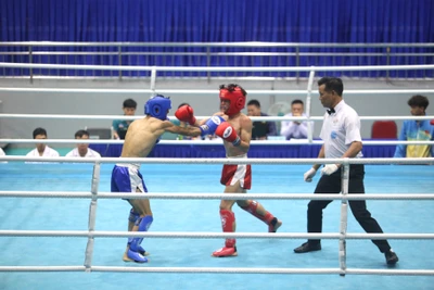 Gần 350 võ sĩ tranh tài ở Giải Vô địch Kickboxing toàn quốc 2024