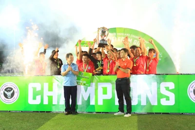 Huy Hằng FC đăng quang Giải Bóng đá 7 người Highland Championship Cup FPT Telecom Gia Lai