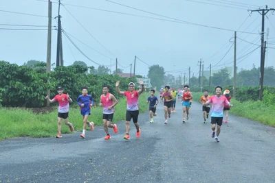 70 người tham gia giao lưu chạy bộ tại hàng thông trăm tuổi Chư Păh