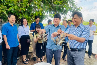 Lãnh đạo Huyện ủy, HĐND, UBND, các ban, ngành, đoàn thể, hộ nuôi trồng thủy sản tại huyện Phú Thiện tham quan mô hình nuôi tôm càng xanh tại hộ gia đình ông Tống Văn Tần (xã Ayun Hạ). Ảnh: Vũ Chi