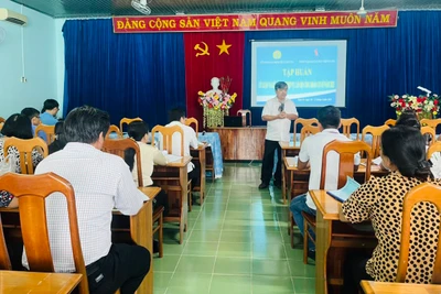 Quang cảnh buổi tập huấn. Ảnh: Vũ Chi