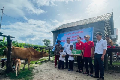 Thầy Tùng cùng Hội Chữ thập đỏ huyện, Ban Giám hiệu Trường Tiểu học và THCS Đinh Núp trao bò và quà cho em Đinh Tháng. Ảnh: Vũ Chi