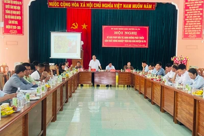 Quang cảnh hội nghị. Ảnh: Vũ Chi