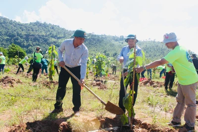 Các đại biểu tham gia trồng cây xanh tại thao trường Ban Chỉ huy Quân sự huyện Ia Pa. Ảnh: Vũ Chi