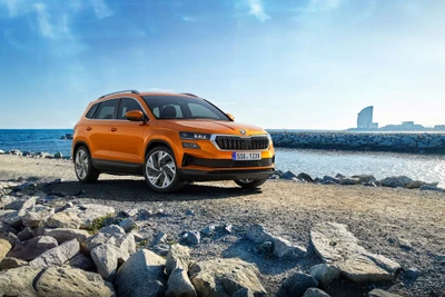 Skoda Karoq-Làn gió mới cho thị trường ô tô Việt Nam