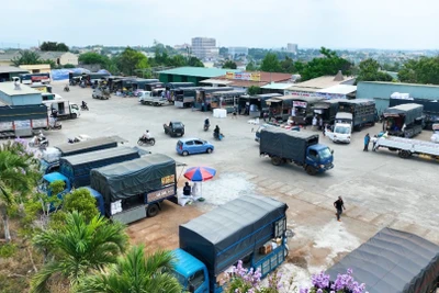 Gia Lai triển khai chỉ thị về đảm bảo an toàn giao thông đối với hoạt động kinh doanh vận tải đường bộ