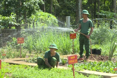 Đồn Biên phòng Ia Púch tích cực tăng gia sản xuất