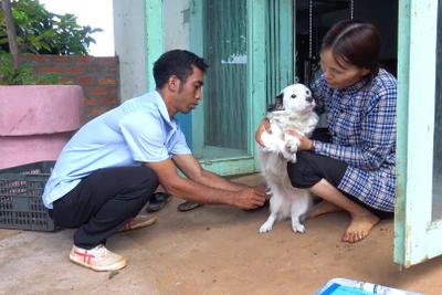 Chư Prông tiêm 9.000 liều vắc xin dại cho đàn chó