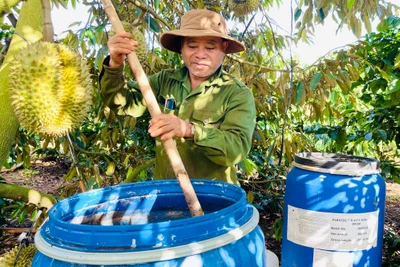 Nâng cao năng suất cây trồng nhờ đạm cá hữu cơ