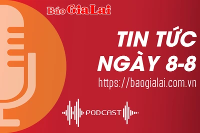 Tin tức sáng 8-8: Gia Lai mời gọi đầu tư các dự án trồng rừng