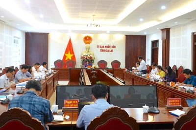 Gia Lai thiếu 7.540 giáo viên và nhân viên năm học 2023-2024