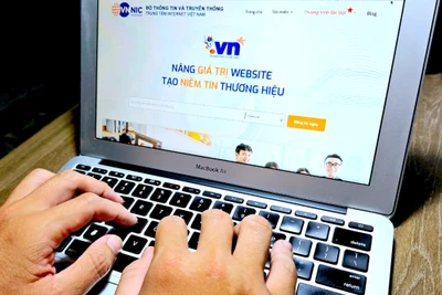 Gia Lai thúc đẩy, hỗ trợ người dân, doanh nghiệp hiện diện trực tuyến với tên miền quốc gia