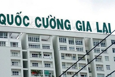 Công ty cổ phần Quốc Cường Gia Lai bị truy thu thuế hơn 556 triệu đồng