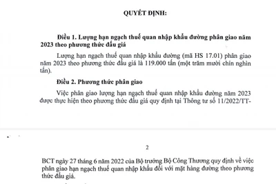 Cả nước sẽ nhập khẩu 119.000 tấn đường theo phương thức đấu giá