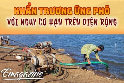 Khẩn trương ứng phó với nguy cơ hạn trên diện rộng