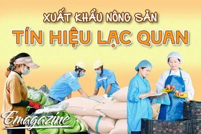 Xuất khẩu nông sản: Tín hiệu lạc quan 