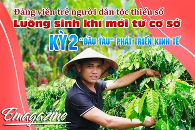 Ðảng viên trẻ người dân tộc thiểu số, luồng sinh khí mới từ cơ sở-Kỳ 2: “Ðầu tàu” phát triển kinh tế